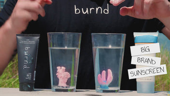 burnd SPF41 Sunscreen | 80 minutes Water Resistant, Clear, Not Greasy